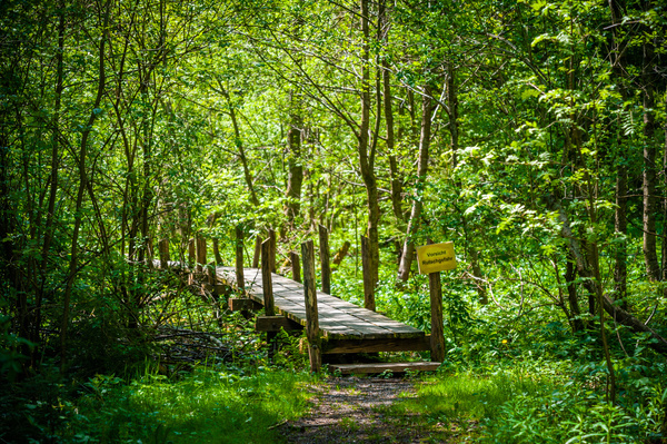 Natur im Hotzenwald Natur im Hotzenwald