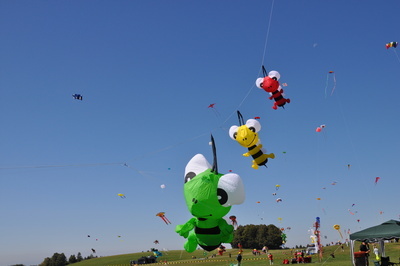 DSC_0467 DSC_0467