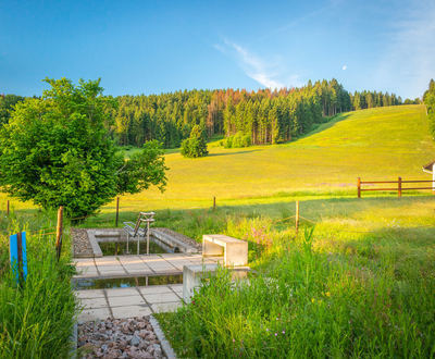 Wassertretbecken