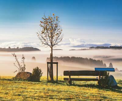 Panoramabnkle im Nebel am Bhl in Herrischried