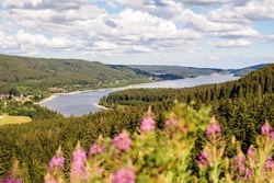 Schluchsee Schluchsee