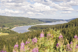 Schluchsee- Hochschwarzwald Tourismus GmbH Schluchsee- Hochschwarzwald Tourismus GmbH