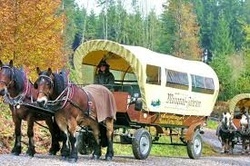 Kutschfahrten Behringer