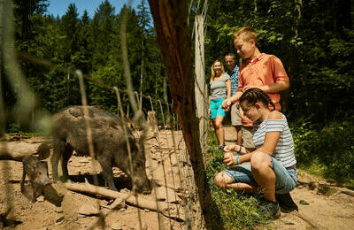 50-j-a-h-r-e-w-i-l-d-g-e-h-e-g-e-b-a-d-s&auml;-c-k-i-n-g-e-n