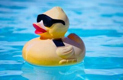 young-swimmer-2494906_1920