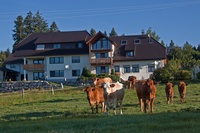 Bio-Hof Gerspach - Ferienwohnungen